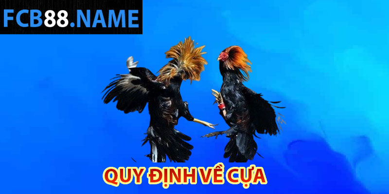 Quy định về cựa